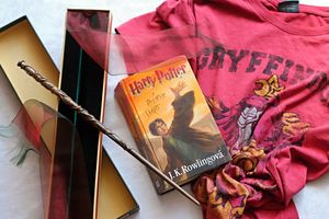 Find the best deals on Harry Potter 17