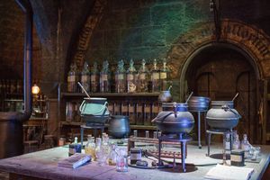 Information about Harry Potter 7