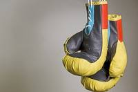 Най-предпочитаните боксови ръкавици 29