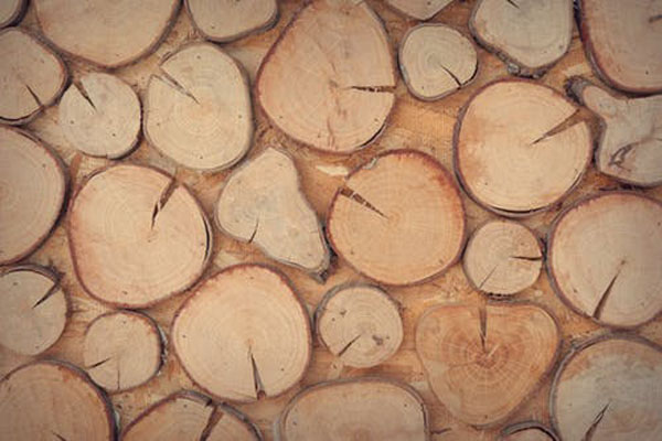 Най-добрите оферти за дървен материал плевен 16