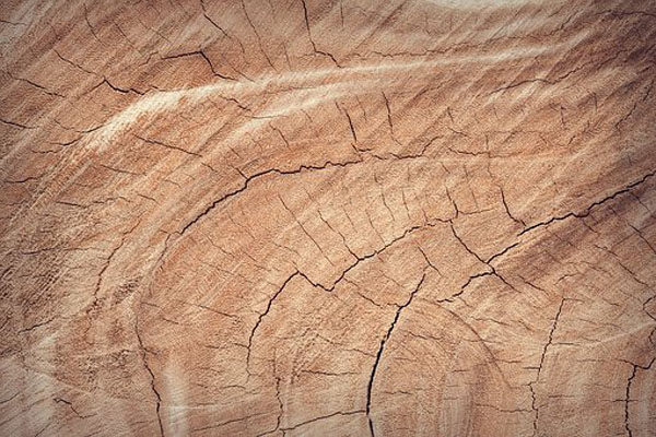 Намерете най-добрите оферти за дървен материал плевен 18