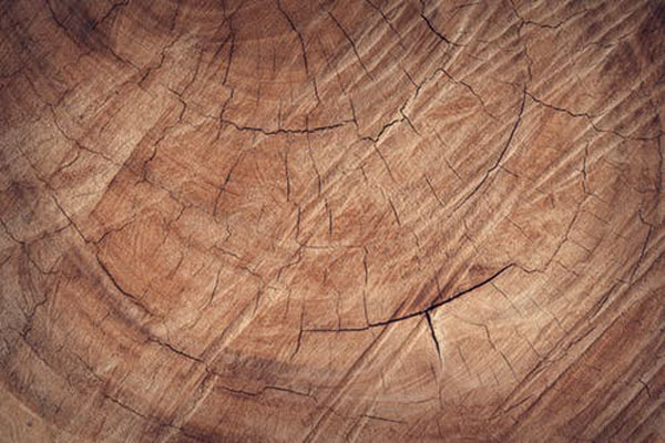 Вижте нашият дървен материал плевен 40